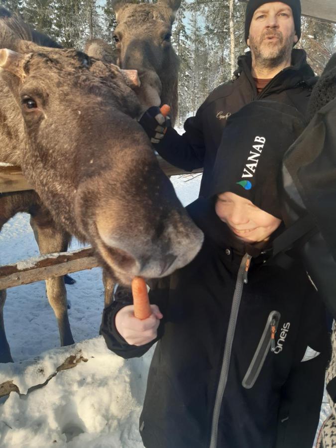 Holmens Och Event * Lulea